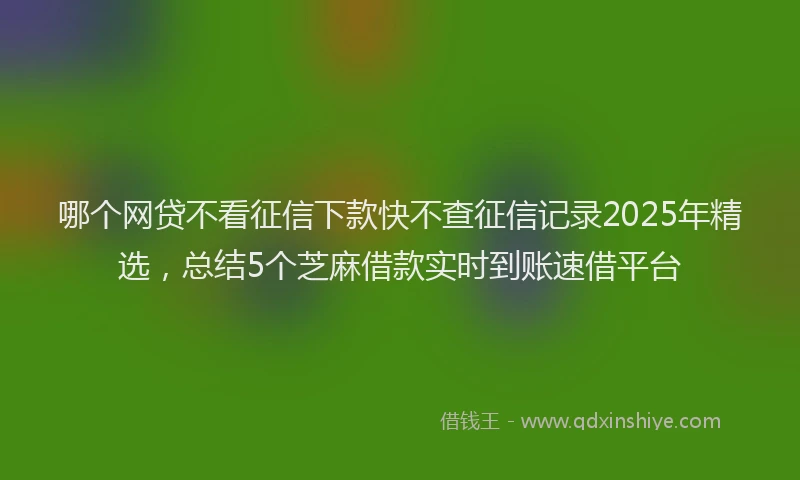 哪个网贷不看征信下款快不查征信记录2025年精选，总结5个芝麻借款实时到账速借平台