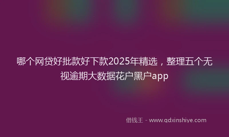 哪个网贷好批款好下款2025年精选，整理五个无视逾期大数据花户黑户app