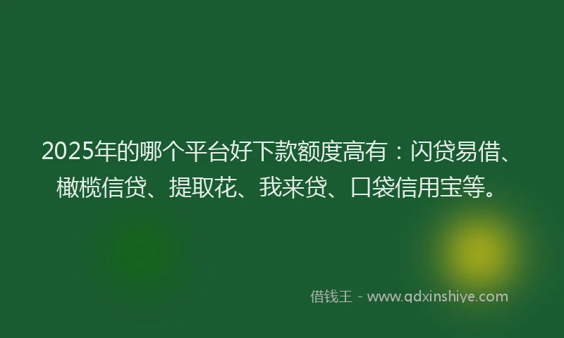 2025年的哪个平台好下款额度高有：闪贷易借、橄榄信贷、提取花、我来贷、口袋信用宝等。
