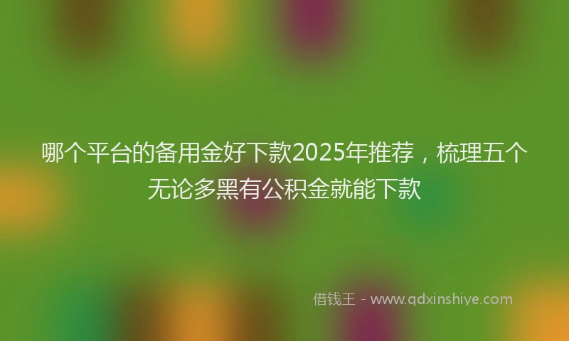 哪个平台的备用金好下款2025年推荐，梳理五个无论多黑有公积金就能下款