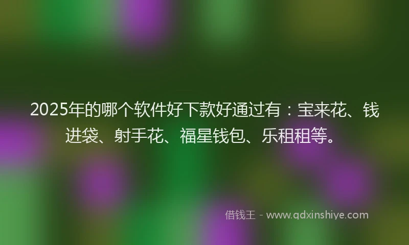 2025年的哪个软件好下款好通过有：宝来花、钱进袋、射手花、福星钱包、乐租租等。