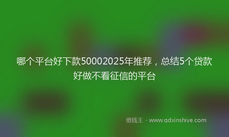 哪个平台好下款50002025年推荐，总结5个贷款好做不看征信的平台