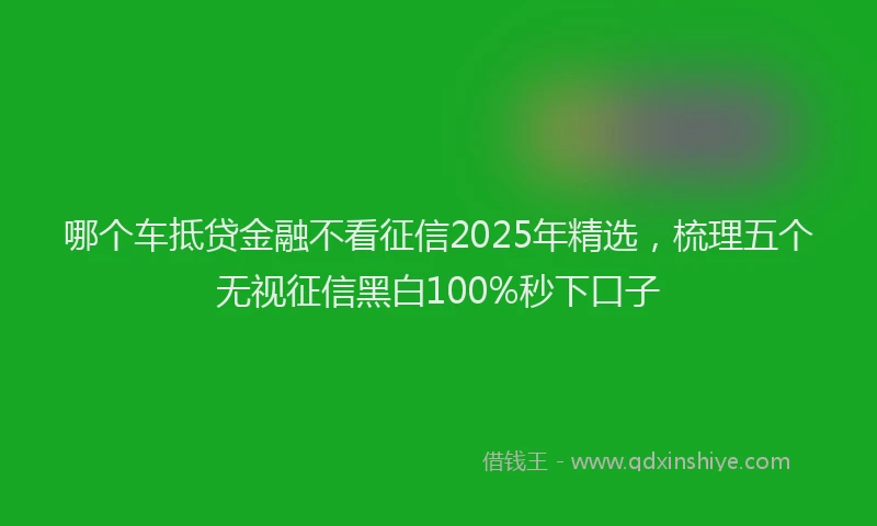 哪个车抵贷金融不看征信2025年精选，梳理五个无视征信黑白100%秒下口子