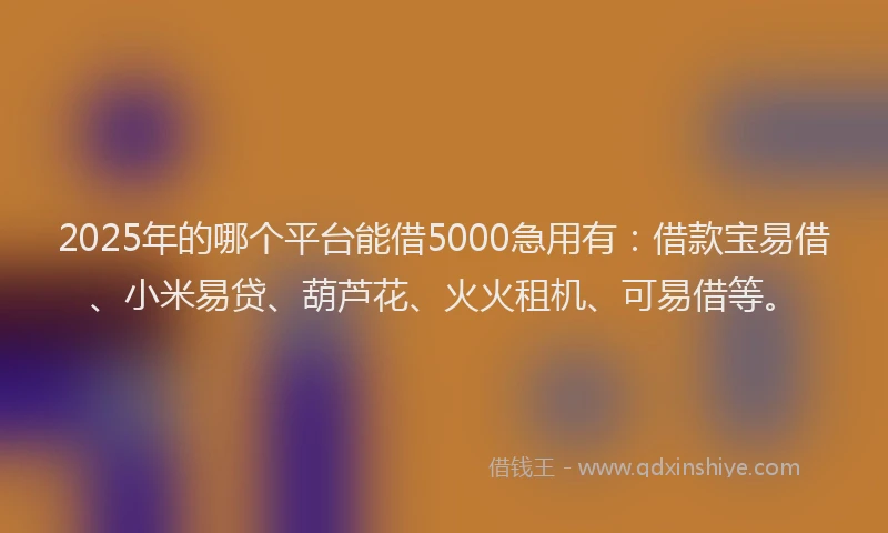 2025年的哪个平台能借5000急用有：借款宝易借、小米易贷、葫芦花、火火租机、可易借等。