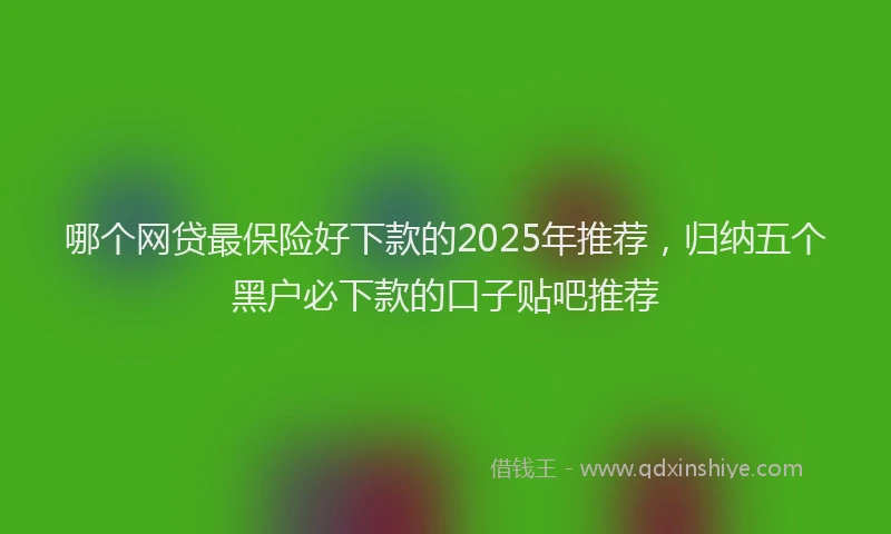 哪个网贷最保险好下款的2025年推荐，归纳五个黑户必下款的口子贴吧推荐