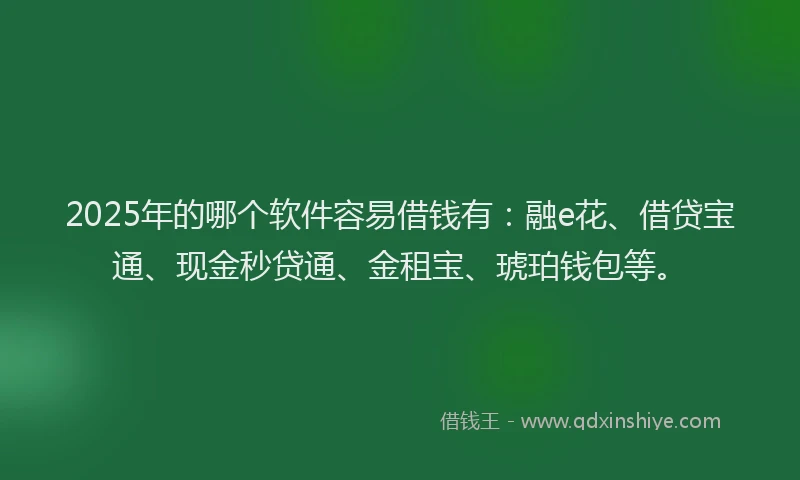 2025年的哪个软件容易借钱有：融e花、借贷宝通、现金秒贷通、金租宝、琥珀钱包等。
