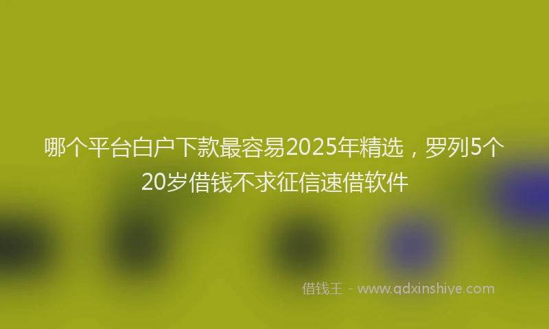 哪个平台白户下款最容易2025年精选，罗列5个20岁借钱不求征信速借软件