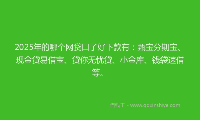 2025年的哪个网贷口子好下款有：甄宝分期宝、现金贷易借宝、贷你无忧贷、小金库、钱袋速借等。