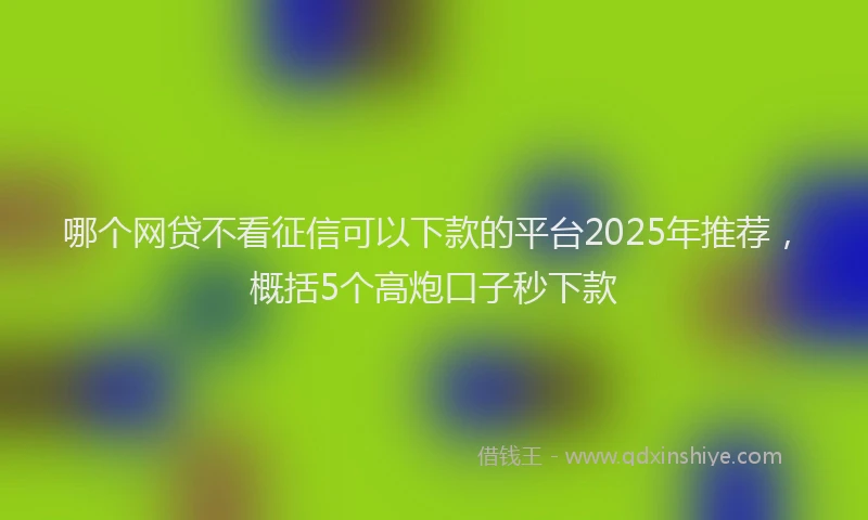 哪个网贷不看征信可以下款的平台2025年推荐，概括5个高炮口子秒下款
