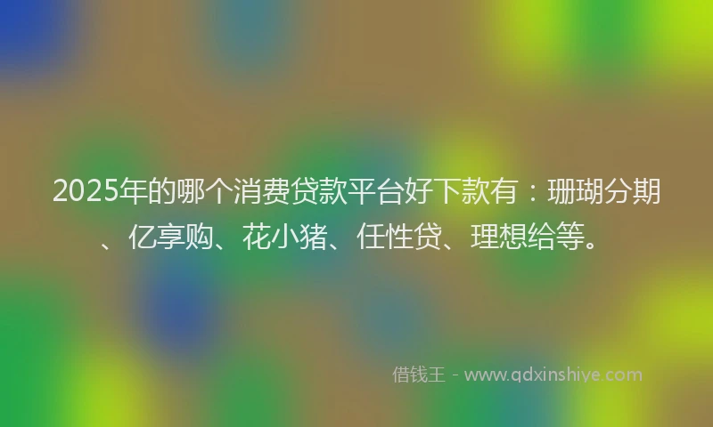 2025年的哪个消费贷款平台好下款有：珊瑚分期、亿享购、花小猪、任性贷、理想给等。