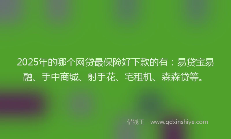 2025年的哪个网贷最保险好下款的有：易贷宝易融、手中商城、射手花、宅租机、森森贷等。
