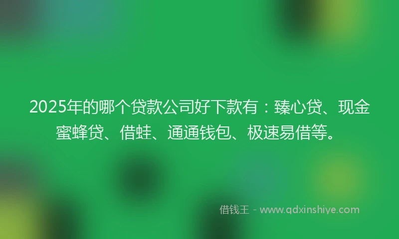 2025年的哪个贷款公司好下款有：臻心贷、现金蜜蜂贷、借蛙、通通钱包、极速易借等。