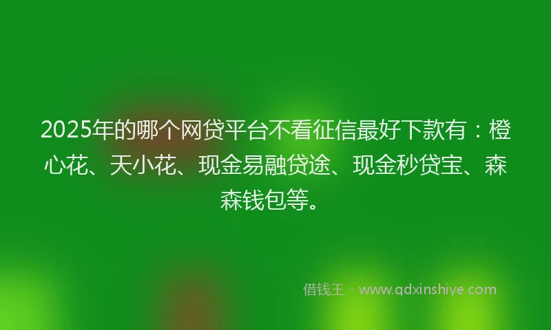 2025年的哪个网贷平台不看征信最好下款有：橙心花、天小花、现金易融贷途、现金秒贷宝、森森钱包等。