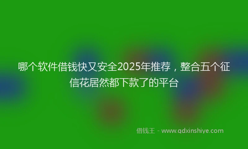 哪个软件借钱快又安全2025年推荐，整合五个征信花居然都下款了的平台