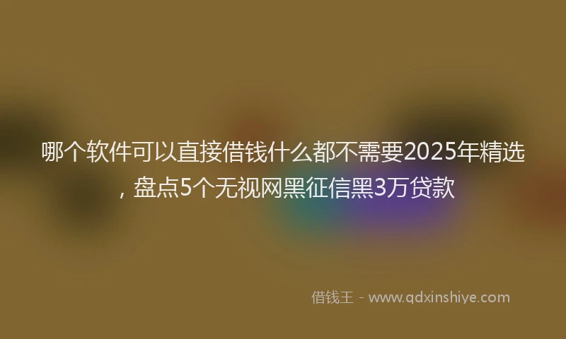 哪个软件可以直接借钱什么都不需要2025年精选，盘点5个无视网黑征信黑3万贷款