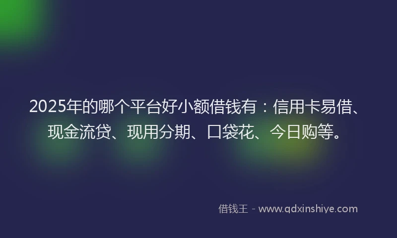 2025年的哪个平台好小额借钱有：信用卡易借、现金流贷、现用分期、口袋花、今日购等。