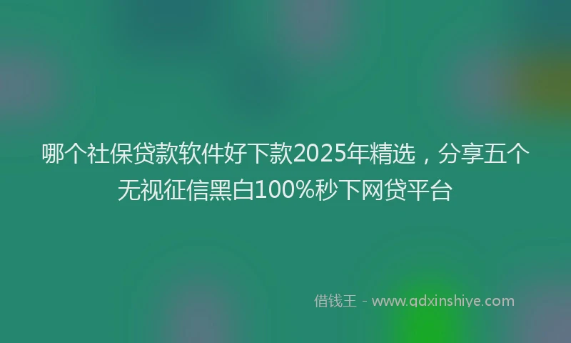 哪个社保贷款软件好下款2025年精选，分享五个无视征信黑白100%秒下网贷平台