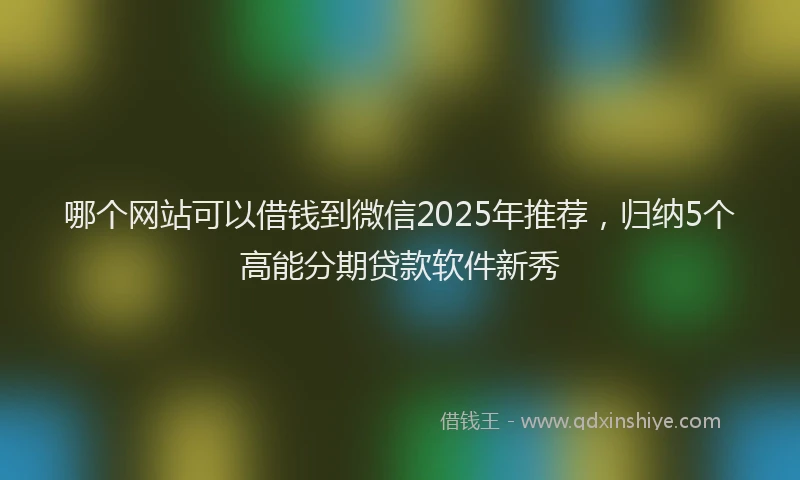 哪个网站可以借钱到微信2025年推荐，归纳5个高能分期贷款软件新秀