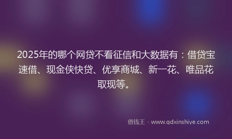 2025年的哪个网贷不看征信和大数据有：借贷宝速借、现金侠快贷、优享商城、新一花、唯品花取现等。