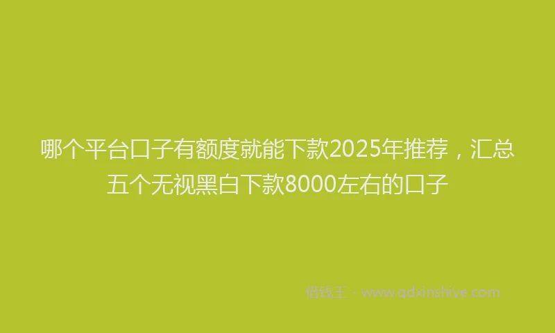 哪个平台口子有额度就能下款2025年推荐，汇总五个无视黑白下款8000左右的口子