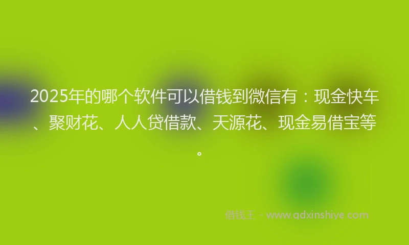 2025年的哪个软件可以借钱到微信有：现金快车、聚财花、人人贷借款、天源花、现金易借宝等。