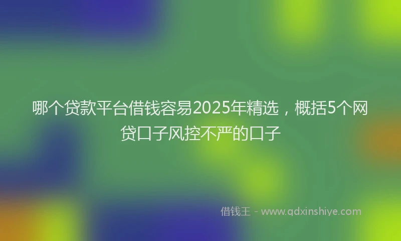 哪个贷款平台借钱容易2025年精选，概括5个网贷口子风控不严的口子