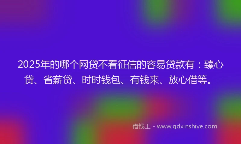 2025年的哪个网贷不看征信的容易贷款有：臻心贷、省薪贷、时时钱包、有钱来、放心借等。