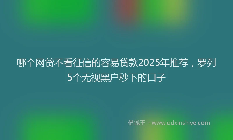 哪个网贷不看征信的容易贷款2025年推荐，罗列5个无视黑户秒下的口子
