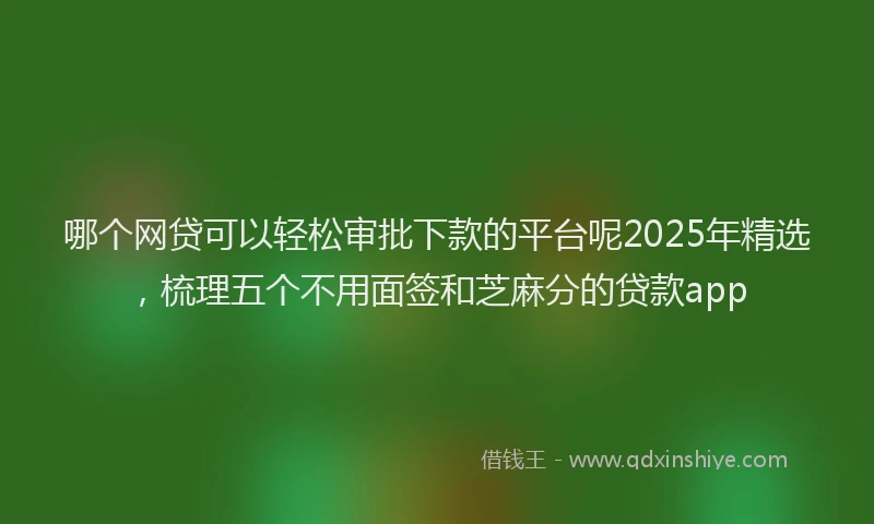哪个网贷可以轻松审批下款的平台呢2025年精选,梳理五个不用面签和芝麻分的贷款app