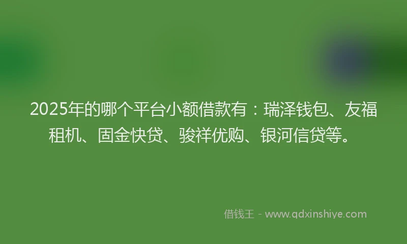 2025年的哪个平台小额借款有：瑞泽钱包、友福租机、固金快贷、骏祥优购、银河信贷等。