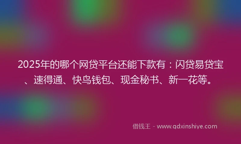 2025年的哪个网贷平台还能下款有：闪贷易贷宝、速得通、快鸟钱包、现金秘书、新一花等。