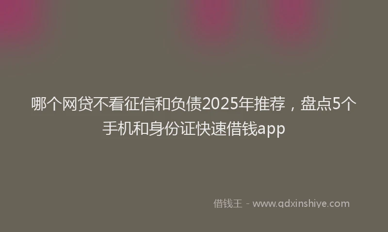 哪个网贷不看征信和负债2025年推荐，盘点5个手机和身份证快速借钱app