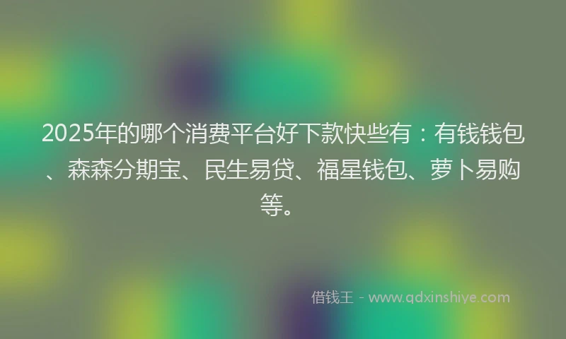 2025年的哪个消费平台好下款快些有：有钱钱包、森森分期宝、民生易贷、福星钱包、萝卜易购等。