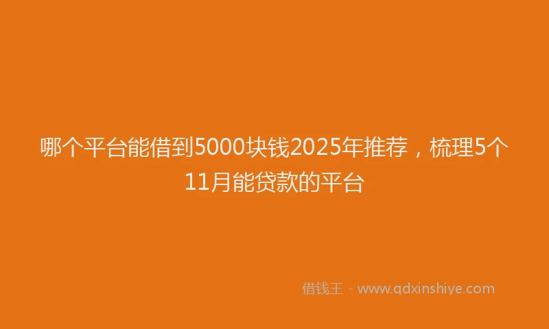 哪个平台能借到5000块钱2025年推荐，梳理5个11月能贷款的平台