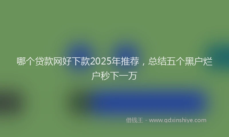 哪个贷款网好下款2025年推荐，总结五个黑户烂户秒下一万