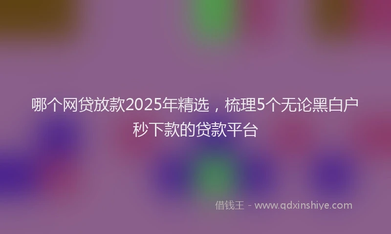 哪个网贷放款2025年精选，梳理5个无论黑白户秒下款的贷款平台
