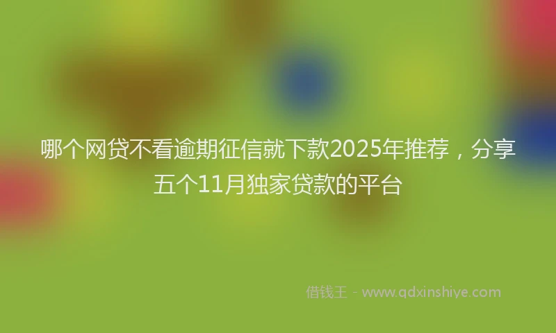 哪个网贷不看逾期征信就下款2025年推荐，分享五个11月独家贷款的平台