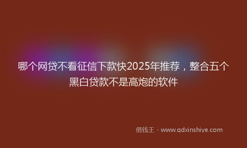 哪个网贷不看征信下款快2025年推荐，整合五个黑白贷款不是高炮的软件