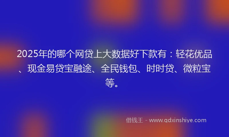 2025年的哪个网贷上大数据好下款有：轻花优品、现金易贷宝融途、全民钱包、时时贷、微粒宝等。