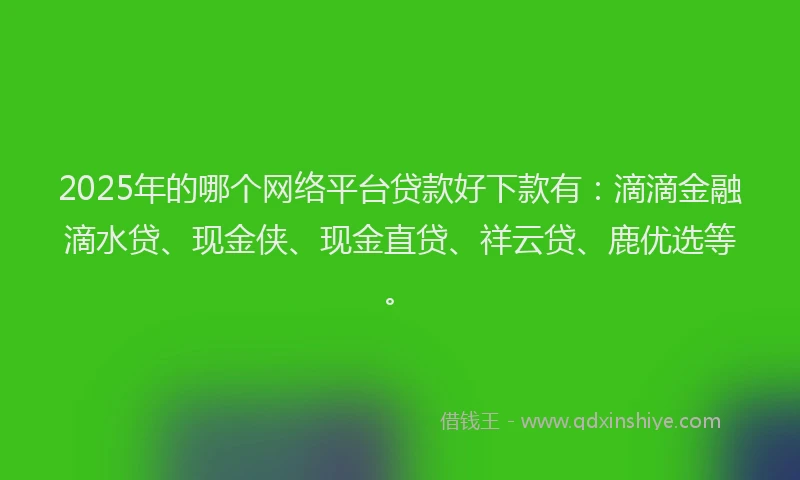 2025年的哪个网络平台贷款好下款有：滴滴金融滴水贷、现金侠、现金直贷、祥云贷、鹿优选等。