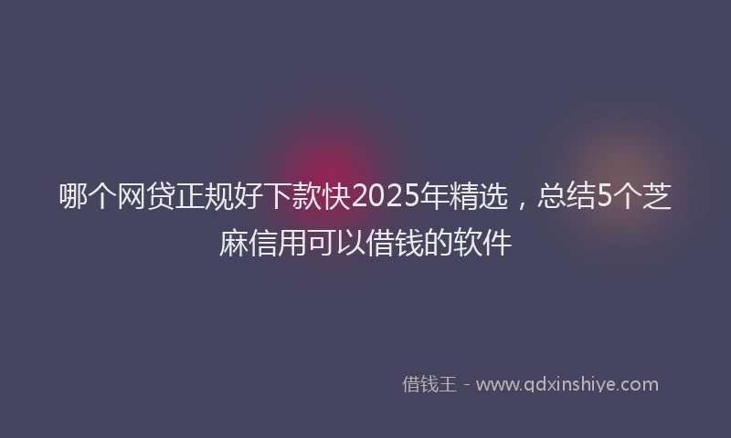 哪个网贷正规好下款快2025年精选，总结5个芝麻信用可以借钱的软件