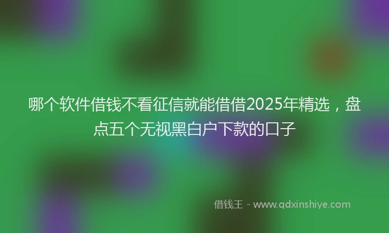 哪个软件借钱不看征信就能借借2025年精选，盘点五个无视黑白户下款的口子