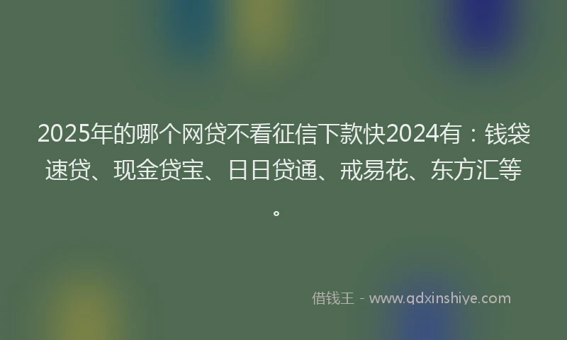 2025年的哪个网贷不看征信下款快2024有：钱袋速贷、现金贷宝、日日贷通、戒易花、东方汇等。