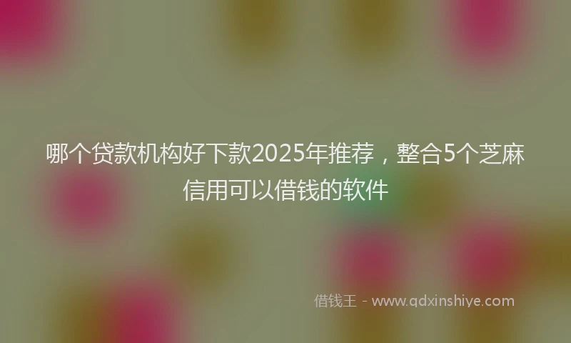 哪个贷款机构好下款2025年推荐，整合5个芝麻信用可以借钱的软件