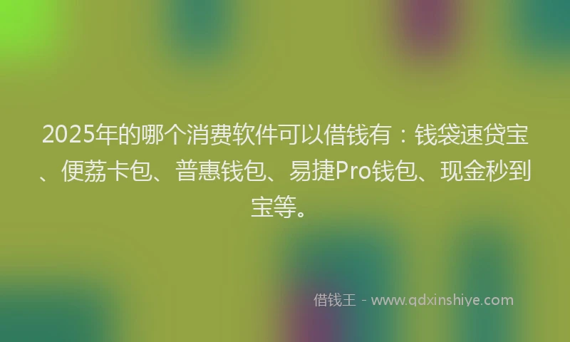 2025年的哪个消费软件可以借钱有：钱袋速贷宝、便荔卡包、普惠钱包、易捷Pro钱包、现金秒到宝等。