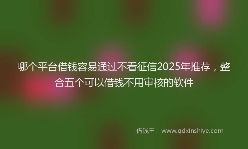 哪个平台借钱容易通过不看征信2025年推荐，整合五个可以借钱不用审核的软件