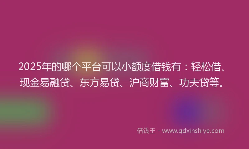 2025年的哪个平台可以小额度借钱有：轻松借、现金易融贷、东方易贷、沪商财富、功夫贷等。