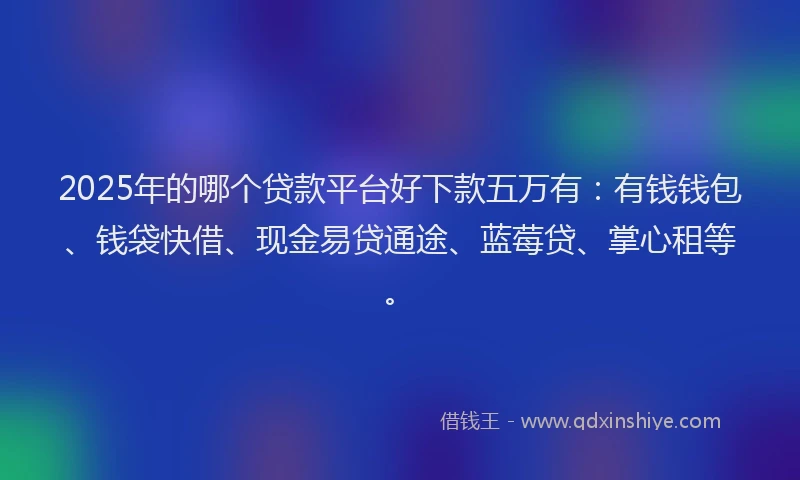 2025年的哪个贷款平台好下款五万有：有钱钱包、钱袋快借、现金易贷通途、蓝莓贷、掌心租等。