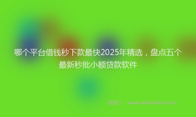 哪个平台借钱秒下款最快2025年精选,盘点五个最新秒批小额贷款软件