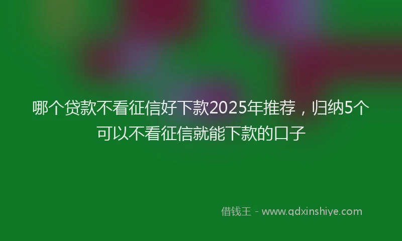 哪个贷款不看征信好下款2025年推荐，归纳5个可以不看征信就能下款的口子